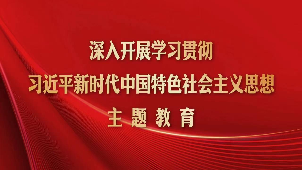 学习贯彻习近平新时代中国特色社会主义思想主题教育